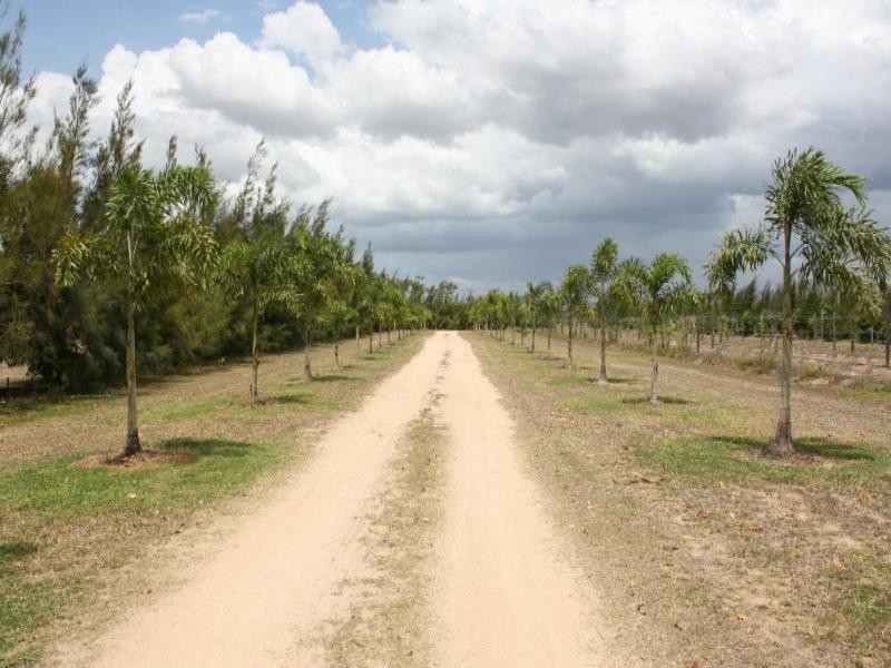 Dimbulah QLD 4872