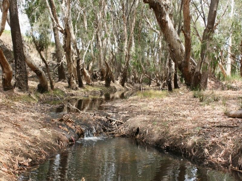 Dimbulah QLD 4872