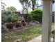 Mareeba QLD 4880