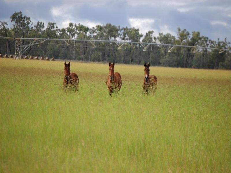 Dimbulah QLD 4872