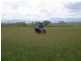 Dimbulah QLD 4872