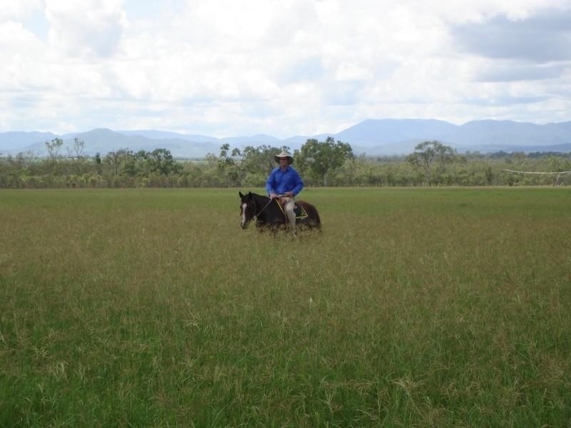 Dimbulah QLD 4872