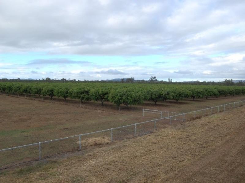 Dimbulah QLD 4872