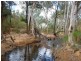 Dimbulah QLD 4872
