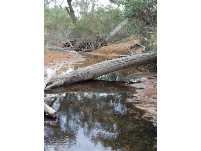 Dimbulah QLD 4872