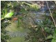 Lake Eacham QLD 4884