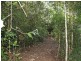 Lake Eacham QLD 4884