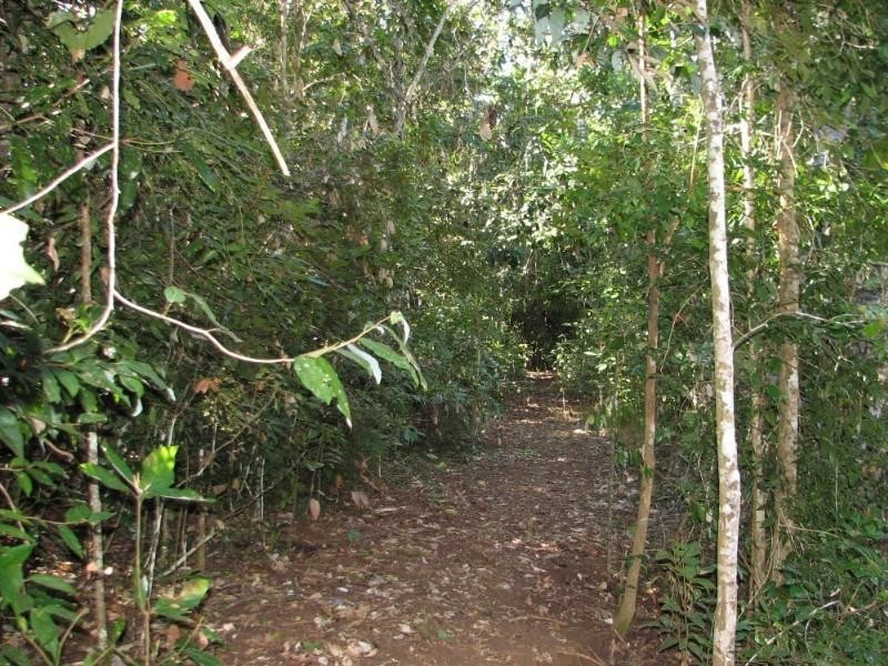 Lake Eacham QLD 4884