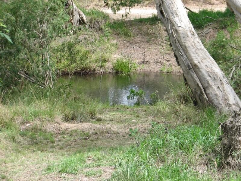 Mutchilba QLD 4872