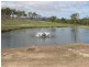 Mount Molloy QLD 4871