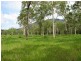Mount Molloy QLD 4871
