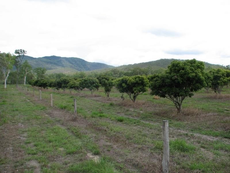 Mount Molloy QLD 4871