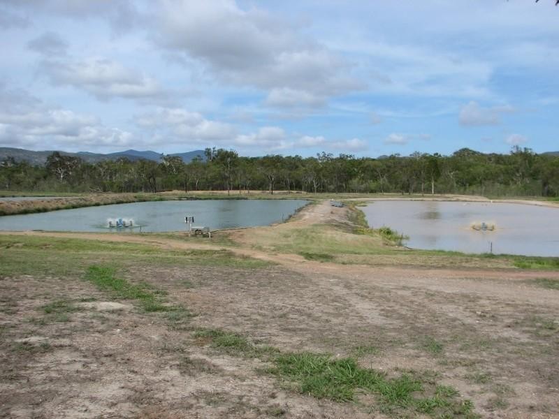 Mount Molloy QLD 4871