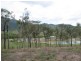 Mount Molloy QLD 4871