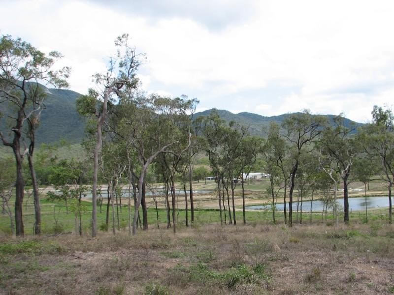 Mount Molloy QLD 4871