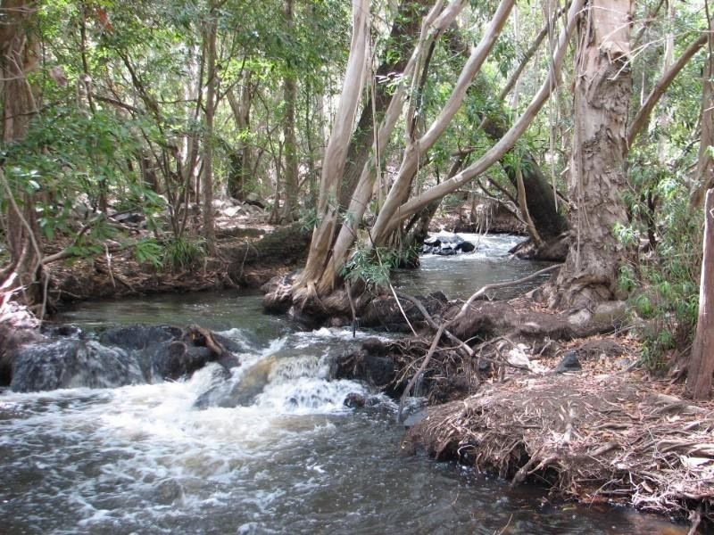 Mount Molloy QLD 4871