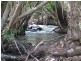 Mount Molloy QLD 4871