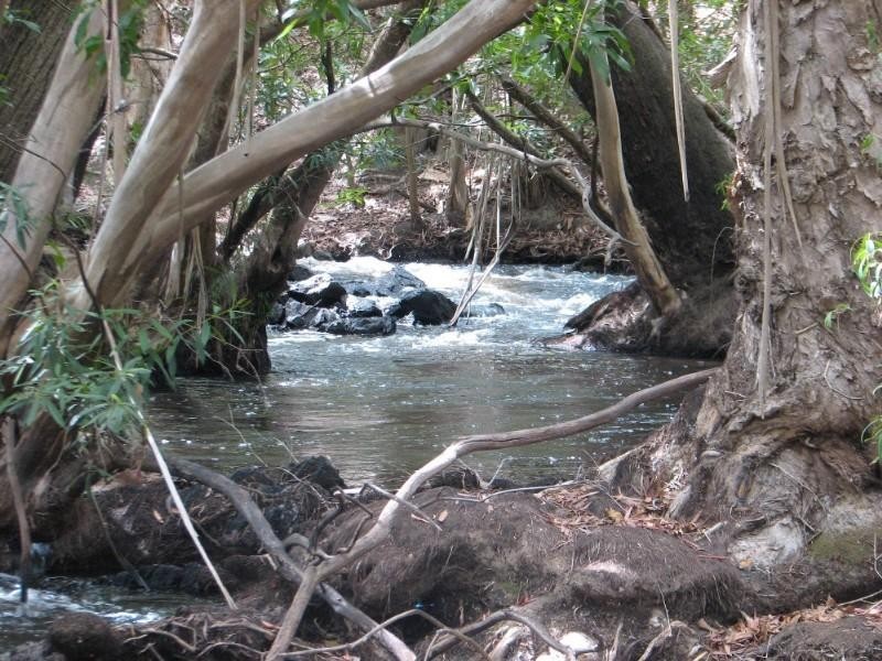 Mount Molloy QLD 4871