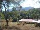 Mount Molloy QLD 4871