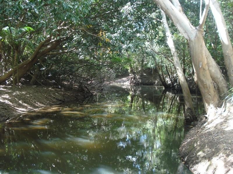 Mount Molloy QLD 4871