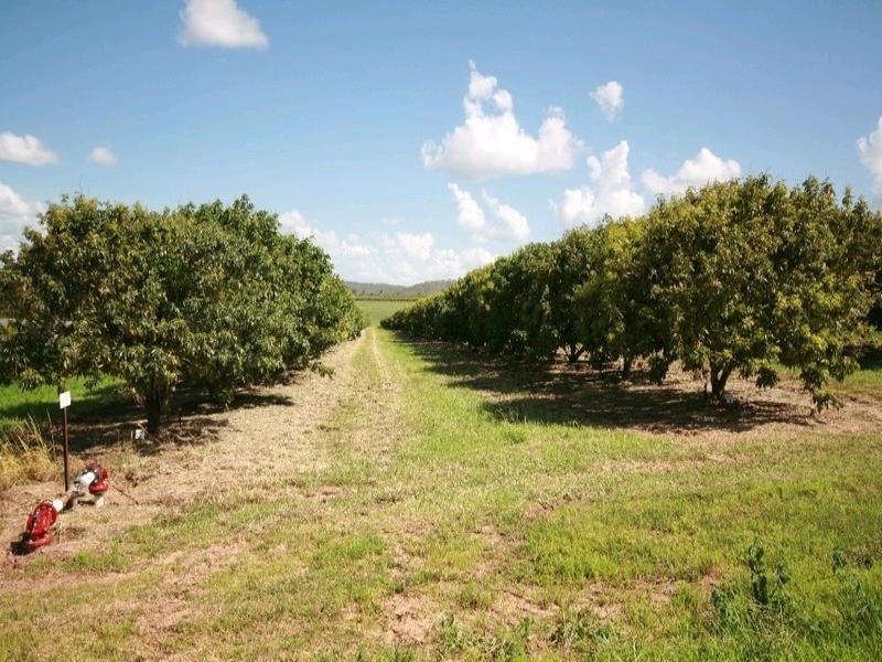 Dimbulah QLD 4872