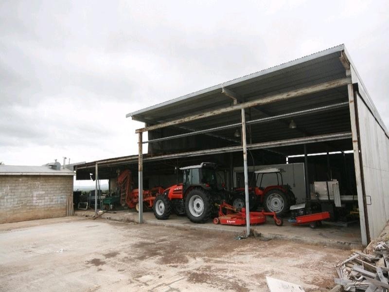 Mutchilba QLD 4872