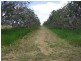 Koah QLD 4881