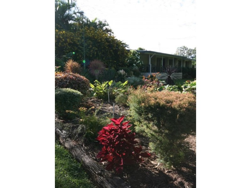 Mareeba QLD 4880