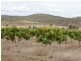 Dimbulah QLD 4872