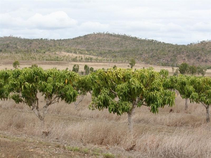 Dimbulah QLD 4872