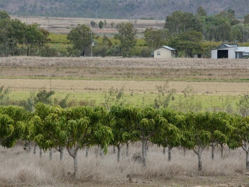 Dimbulah QLD 4872