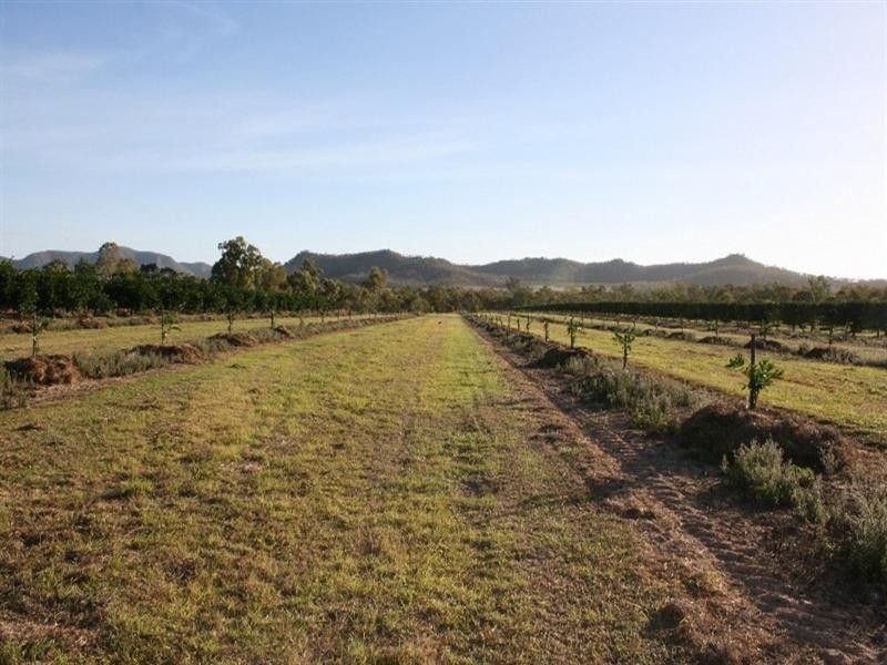 Dimbulah QLD 4872