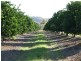 Dimbulah QLD 4872