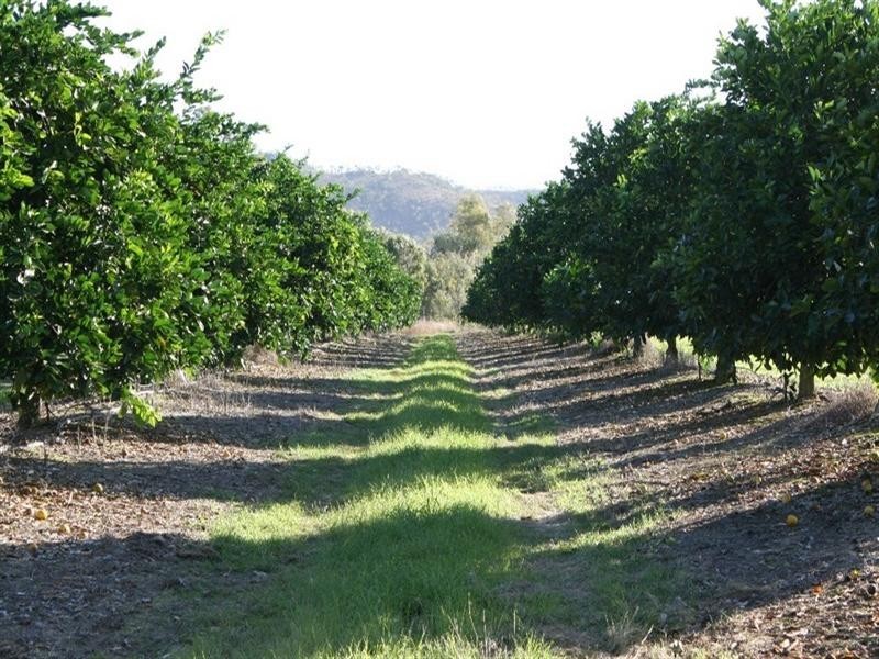 Dimbulah QLD 4872