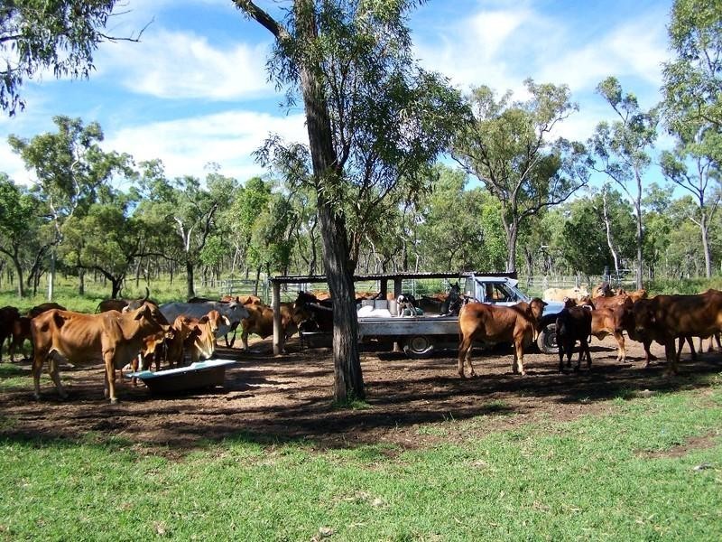 Mutchilba QLD 4872