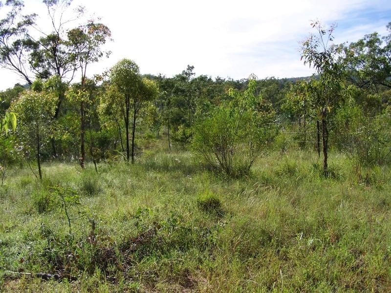 Mutchilba QLD 4872