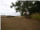 Mutchilba QLD 4872