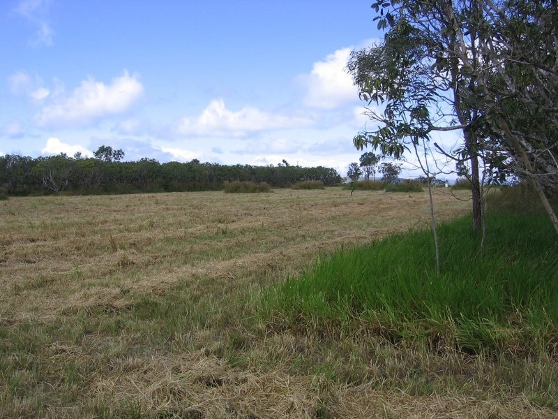 Koah QLD 4881