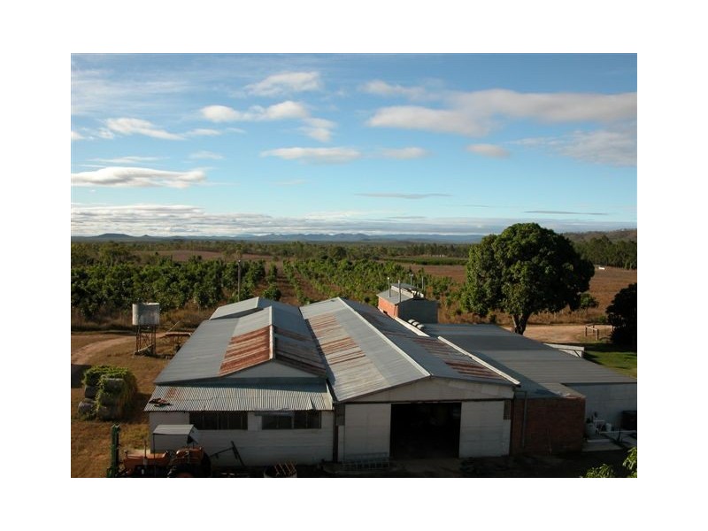 Dimbulah QLD 4872