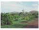 Biboohra QLD 4880