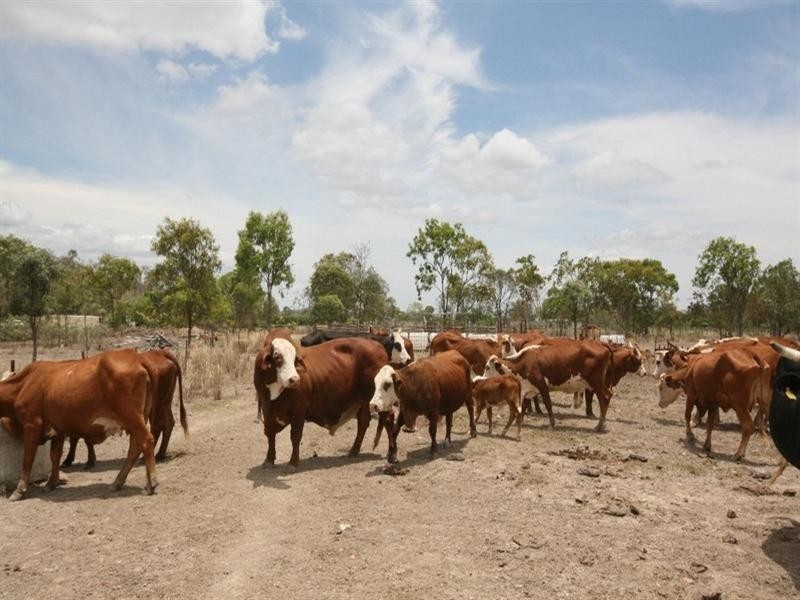 Mareeba QLD 4880