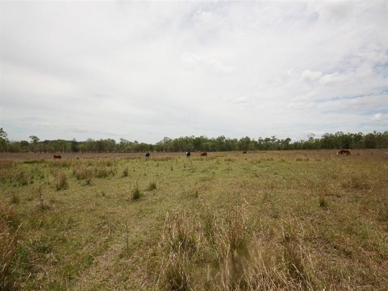 Mareeba QLD 4880