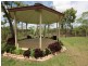 Mareeba QLD 4880