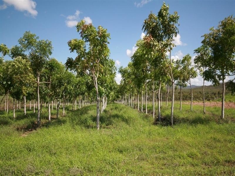 Dimbulah QLD 4872
