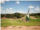 Dimbulah QLD 4872