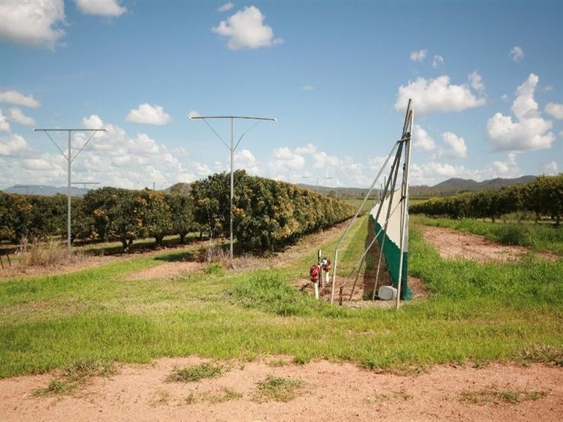 Dimbulah QLD 4872
