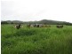 Biboohra QLD 4880