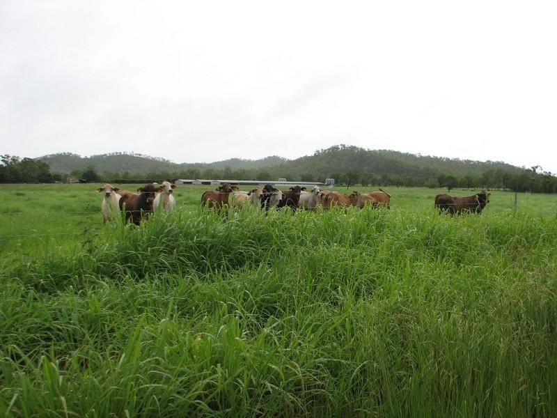 Biboohra QLD 4880