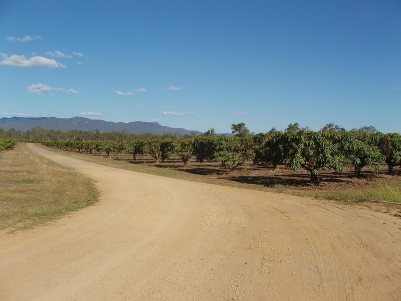 Mareeba QLD 4880