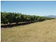 Mareeba QLD 4880